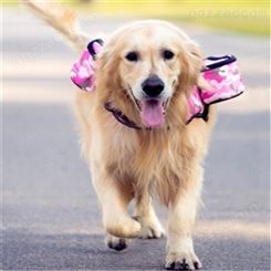 陕西安康 宠物训练袋户外狗零腰包 便携外出狗包 透气网 可视透明 宠物训练腰包出售