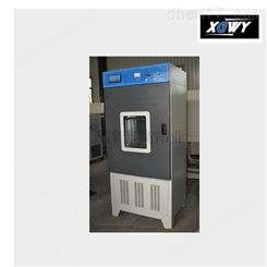 TBY-200湿热养护箱