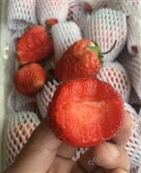 甘肃永靖达赛莱克特草莓苗图片