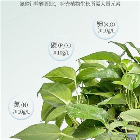 植物营养粉-磷酸二氢钾