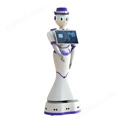 智能人形机器人生产厂家-锐曼机器人