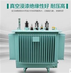 潞城S11-M-800KVA户外节能型油浸式变压器