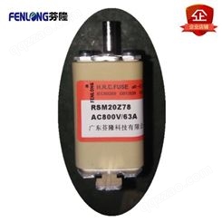 RSM03MZ80(TN)熔断器订做-FENLONG品牌