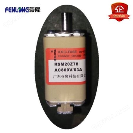 RSM04Z150熔断器订做-FENLONG品牌