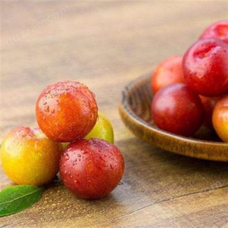 安赛李子香精粉末食品级香料水果提取物食品增香