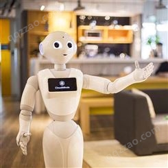 河北本地智能机器人租赁天租pepper机器人 迎宾接待