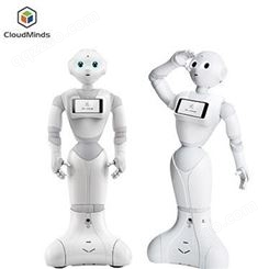 海南本地智能机器人租赁天租酒店迎宾机器人