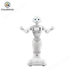 广东本地智能机器人租赁天租迎宾接待机器人