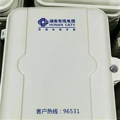广电网络光纤箱挂壁式光纤分光箱