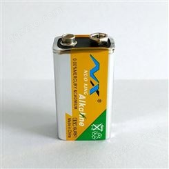 诺星9V碱性电池烟感专用6LR61 高容量安全不漏液