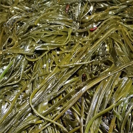 晶鑫海带丝 海带丝生产 海带丝咸菜 厂家价格