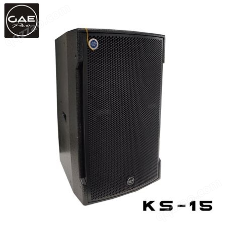KS-15KTV音响 鼎泰丰音响 KS-15 15寸两分频音箱 进口单元