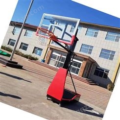 沧州冠龙 欢迎前来砸单 儿童升降篮球框 小学青少年篮球架