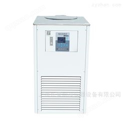 上海东玺DLSB-5L低温冷却液循环泵实验式数显恒温水槽冷却水制冷循环机