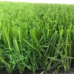 草坪 球场草皮 人造草坪 仿真植物来图定制