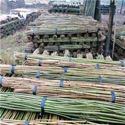大量供应2米8豆架竹竿