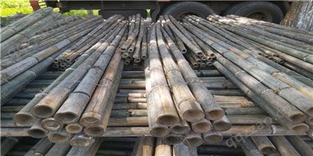 2米竹尾批发 厂家供应2米绿化杆 粗竹杆