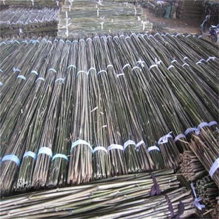 1米-3米菜竹架 蔬菜支架竹杆 豆瓜扦 水果搭架竹杆 江西发货