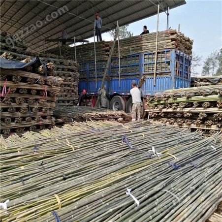 产地直销2米5和3米菜架竹厂家批发