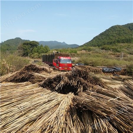 豆瓜扦批发 2米5竹扦 竹架材厂家供应