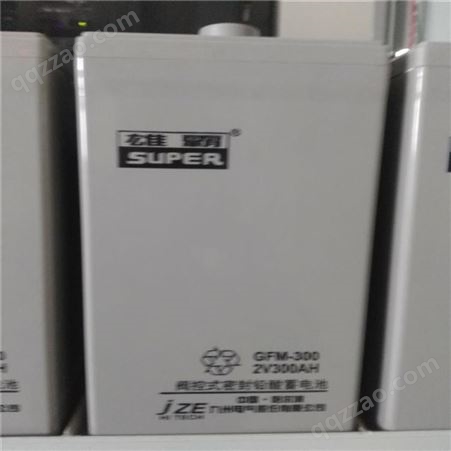 九州雄霸蓄电池6-FM-100 储能蓄电池12V100AH 直流屏UPS储能蓄电池