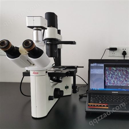 Leica/莱卡倒置显微镜DMIL 徕卡光学显微镜 徕卡显微镜