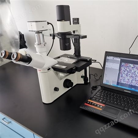 DMILLeica/莱卡倒置显微镜DMIL 徕卡光学显微镜 徕卡显微镜