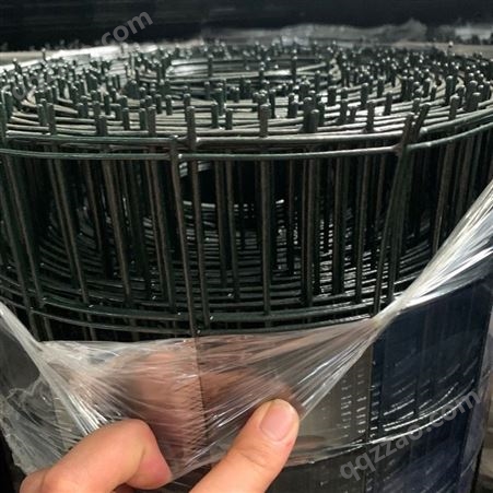 硬塑荷兰网钢丝网围栏网家用养鸡护栏围网加粗小孔户外铁网格