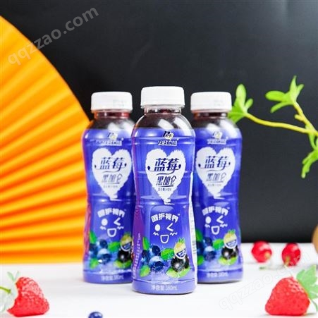 龙江蓝牌蓝莓汁饮料 黑加仑汁饮料 果汁饮料招代理