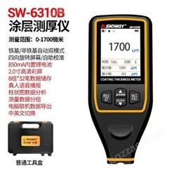 深达威SW-6310B 涂层 镀锌 汽车膜 漆面 测厚仪厚度检测仪