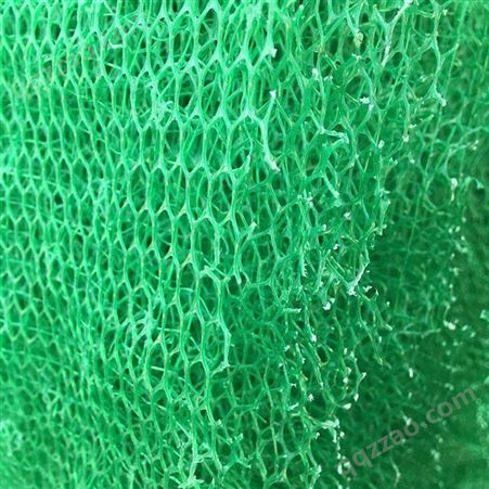 路克 现货销售护坡植草用三维土工网垫 多种规格护坡绿化用三维植被网