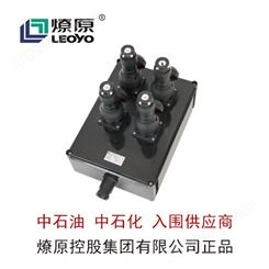 防爆配电箱-防爆LED灯-BXX8050系列防爆防腐检修电源插座箱