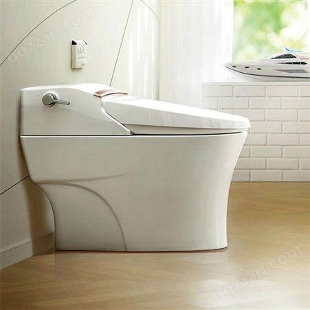 美标卫浴 全自动智能一体座厕 带遥控冲洗烘干马桶坐便器5392