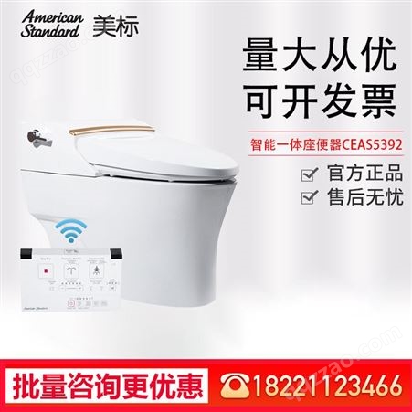 美标卫浴 全自动智能一体座厕 带遥控冲洗烘干马桶坐便器5392