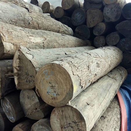 香樟板木材 香樟木材加工 香樟木板材 现货大量供应