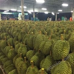 马来西亚榴莲水果进口 深圳机场报关公司